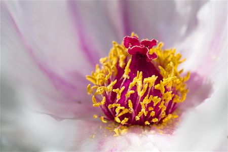 Lentekleuren binnen en buiten