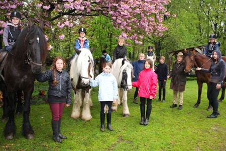 Leren omgaan met pony's en paarden