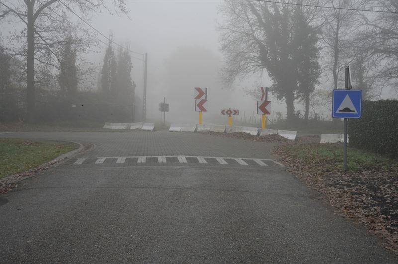 Letterlijke en figuurlijke mist in de bloemenwijk