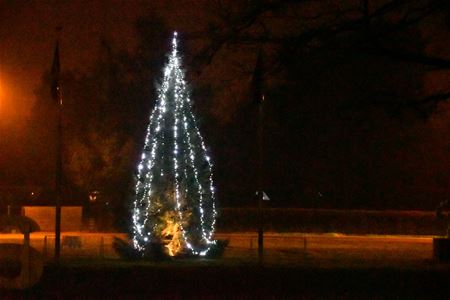 Lichtjes in de kerstboom fonkelen op Meylandt