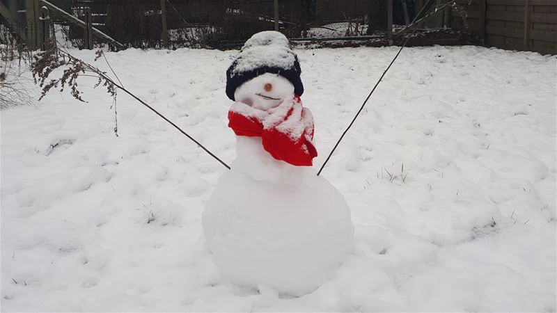 Liefde is ... tijdig ontdooien