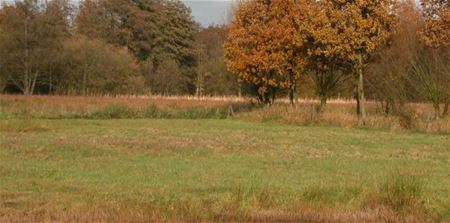 Limburgs Landschap breidt uit in Laambroeken