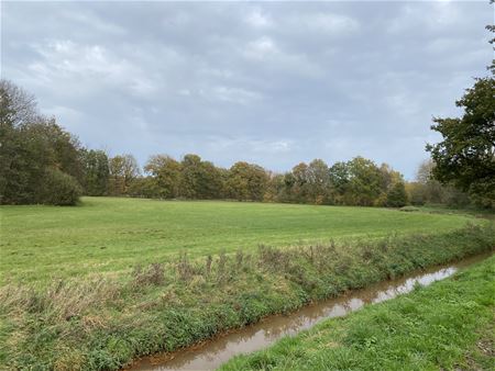 Limburgs Landschap groeit in Mangelbeekvallei