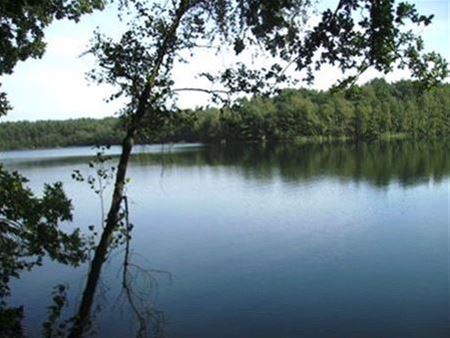 Limburgs Landschap kan Groene Delle kopen