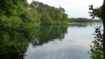 Limburgs Landschap wil deel Groene Delle kopen