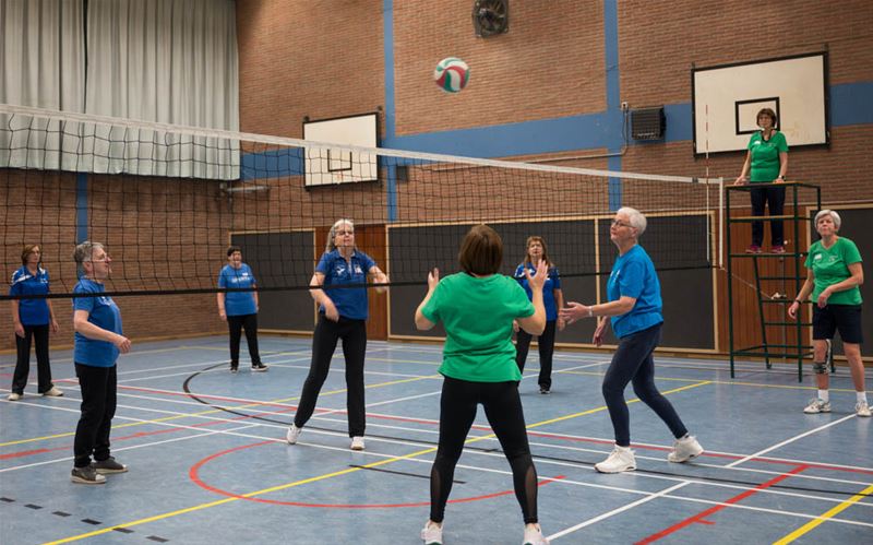 Limburgse senioren bekampen elkaar in netbal