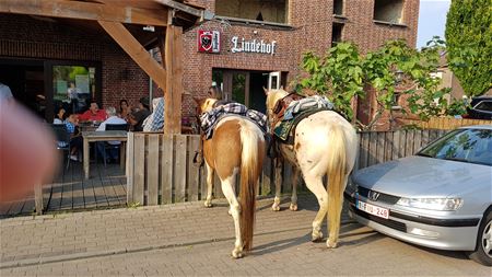 Lindeman heeft parking voor iedereen