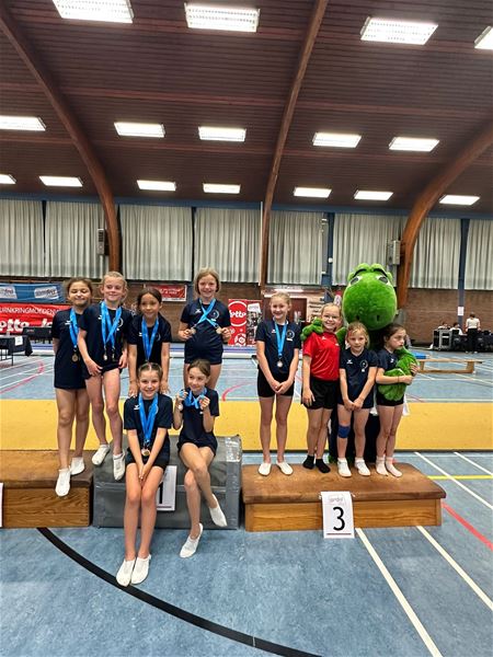 Lokale gymnasten presteren goed in Olympia