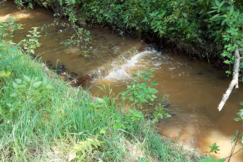 Mangelbeek is geruimd