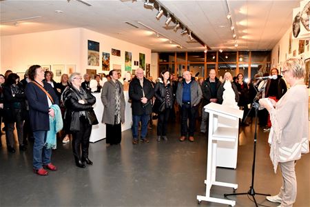 Massale belangstelling voor opening Meylandt Art