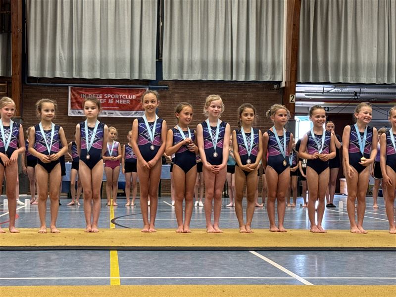 Meer dan 100 gymnasten in clubkampioenschap