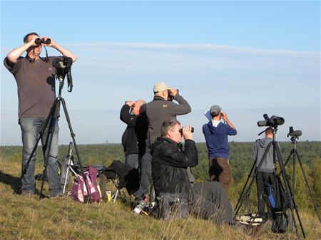 Meer dan 31.000 trekvogels boven terril