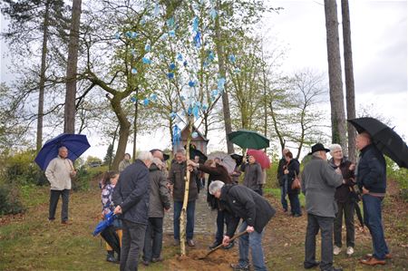 Meiboom aan de Sint-Janskapel is gezet