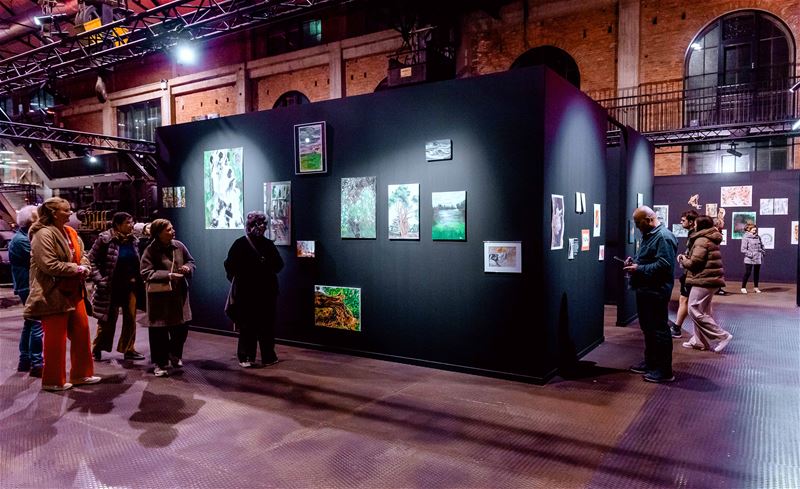 Meylandt Art: tentoonstelling vol variatie