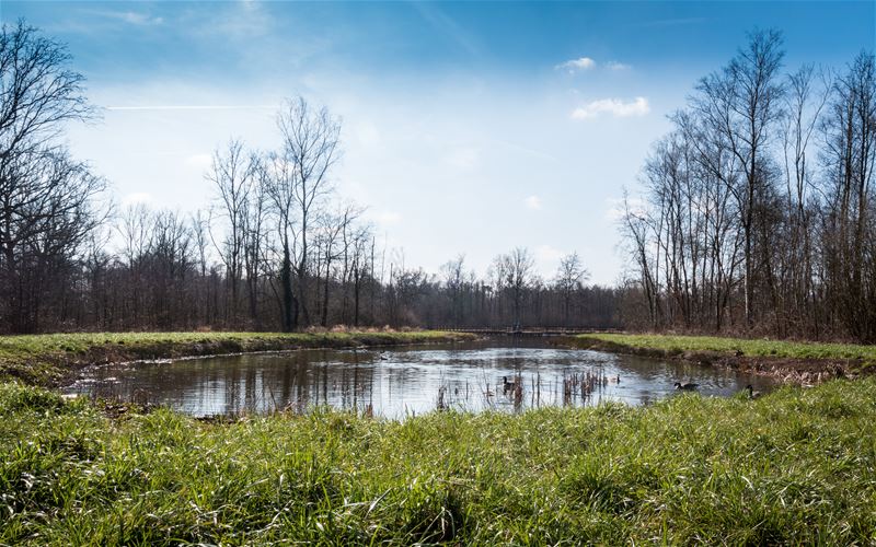 Moerasvijver Bovy staat tijdelijk droog