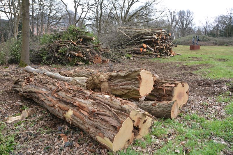 Moet er nog hout zijn?