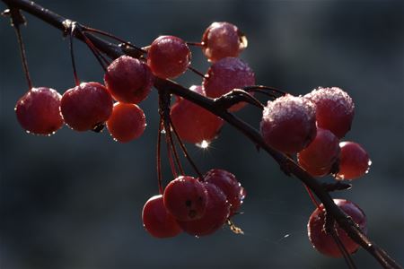 Morgen begint de winter