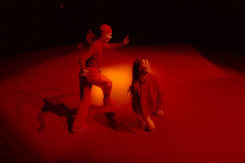 Morgen bijzonder danstheater in CC Muze