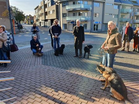 Morgen broodwijding en dierenzegening in Zolder