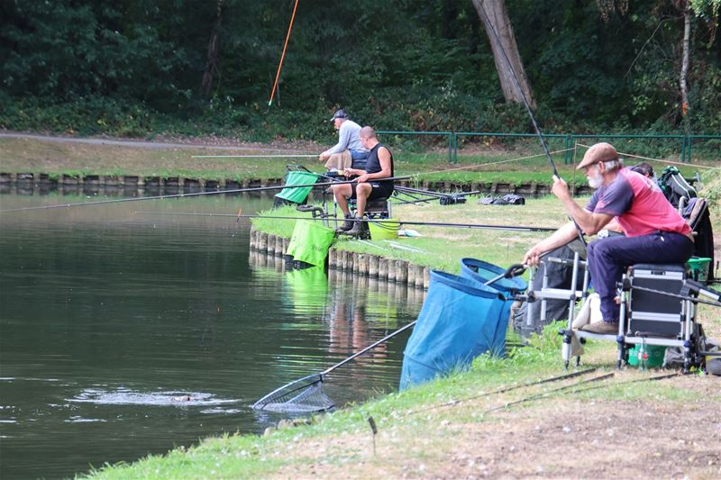 Morgen gemeentelijk vistornooi op Bovy