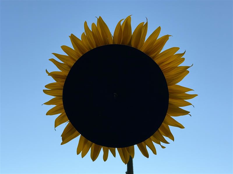 Morgen is het eclips-time