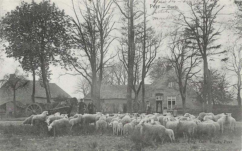 Morgen komt de Herderstocht in Heusden-Zolder aan
