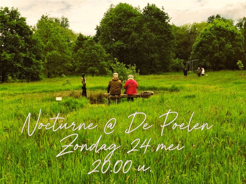 Morgen nocturne op Tijdsporen in Boekt
