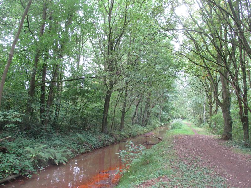 Morgen op wandel door de Mangelbeekvallei