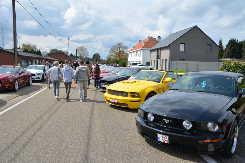 Mustang Fever mikt op 1.000 wagens