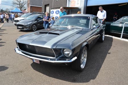 Mustang Fever overspoeld door massa wagens