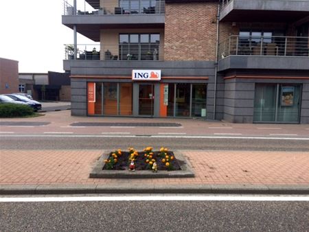 Nachtelijke bloemenplanters slaan toe