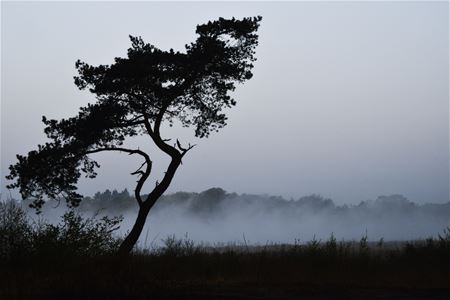 Natuurareaal Limburgs Landschap groeide sterk