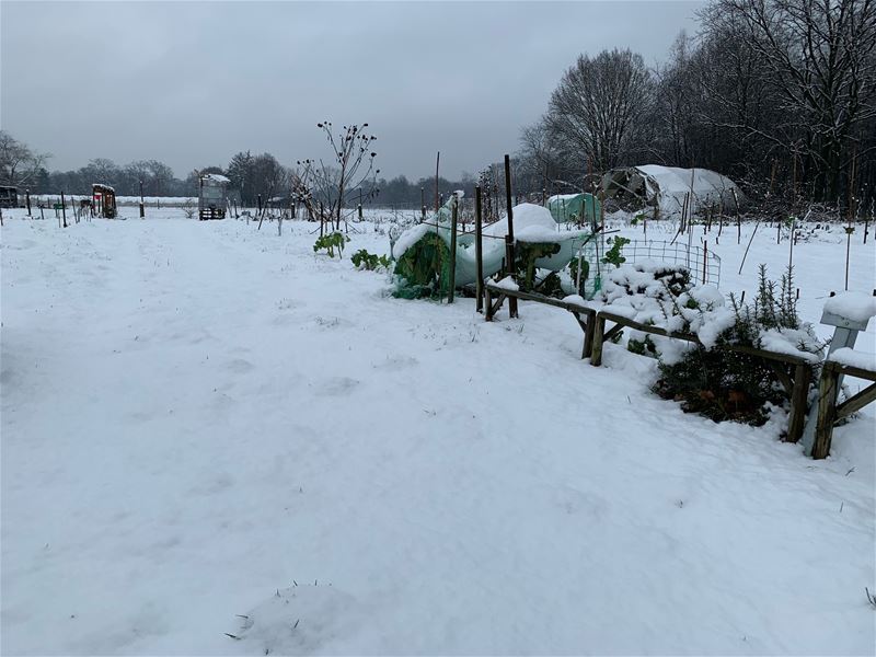 Neen, 't is nog geen weer om te tuinieren