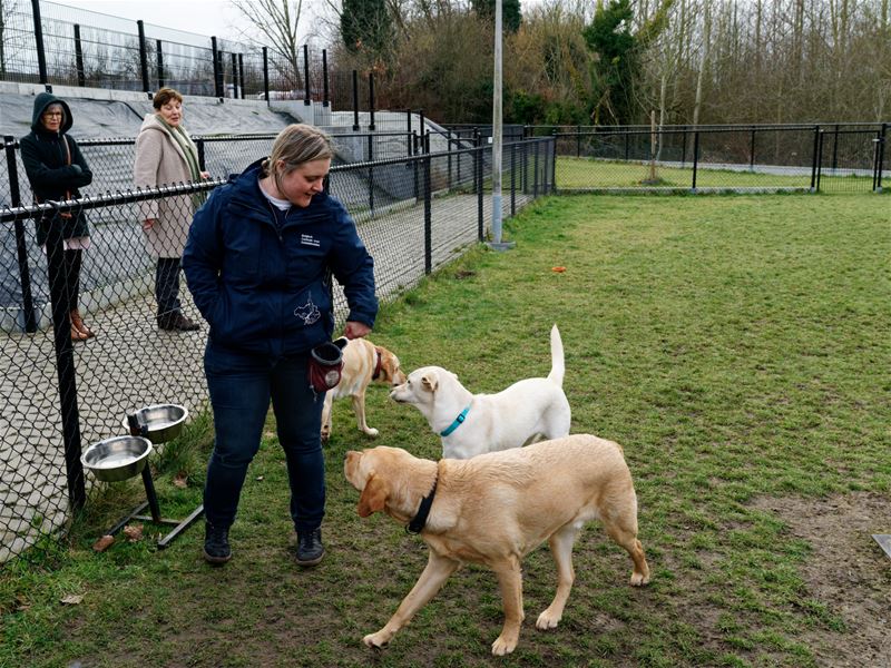 Neos bezocht Belgisch Centrum voor Geleidehonden