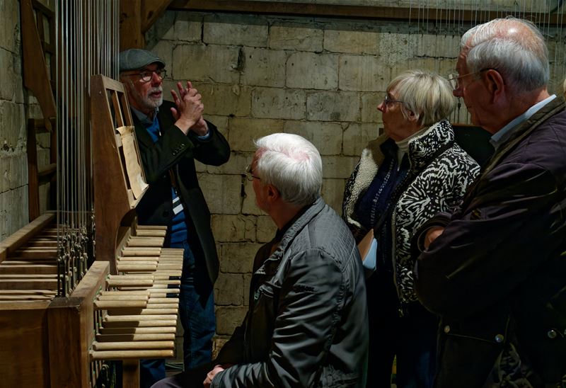 Neos leden klommen naar de Hasseltse beiaard