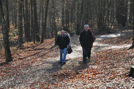 Nieuwe infrastructuur voor natuurgebied Bolderberg