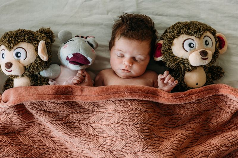 Nieuwe inwoners krijgen AAP of NEL cadeau