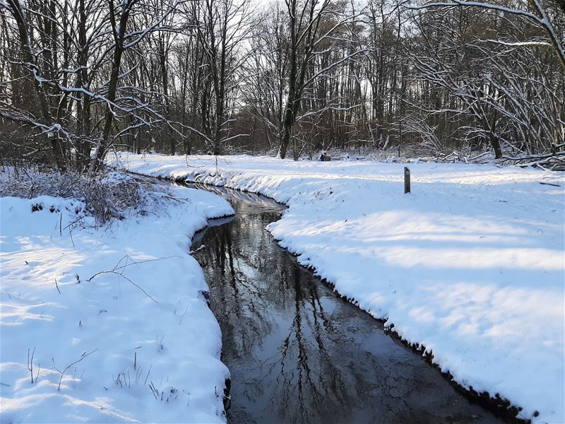 Nog enkele winterbeelden ....