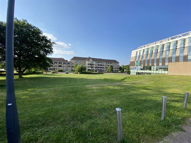 Nog vijf kandidaten voor 'Bruisend Zolder'