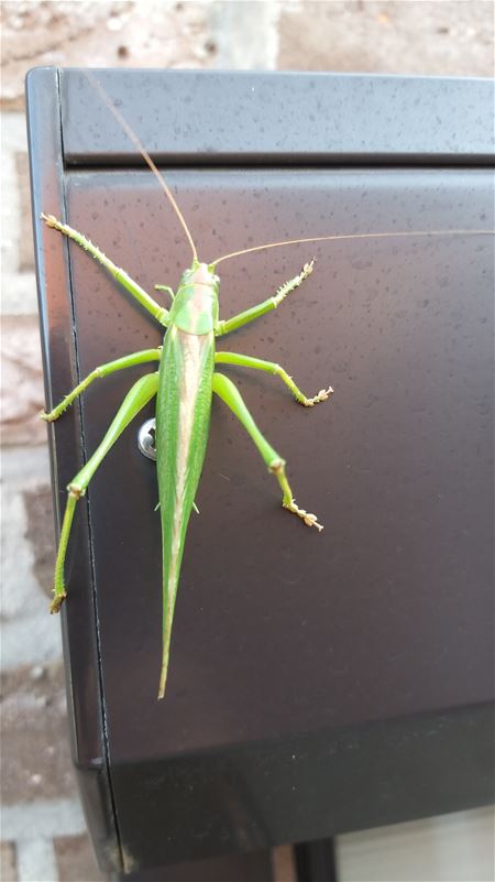 Nog wat warmte meepikken