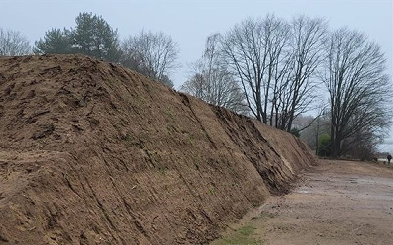 Oeverzwaluwen zijn welkom in een nieuwe zandwand