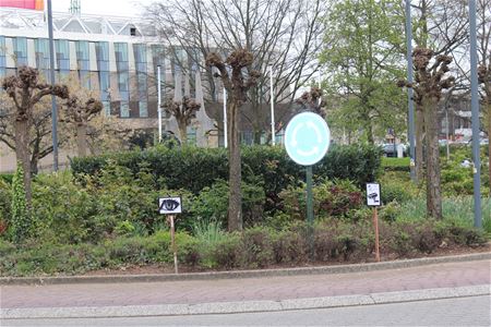 Ogen en camera tegen sluikstorten