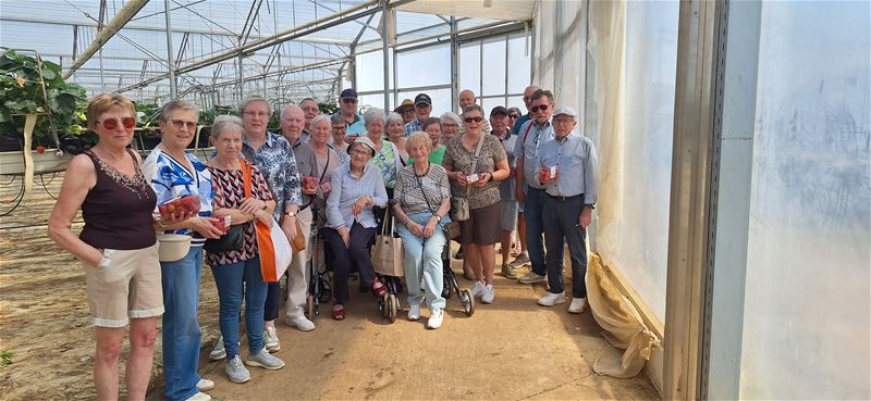 Okra Zolder bezocht aardbeien Boermans