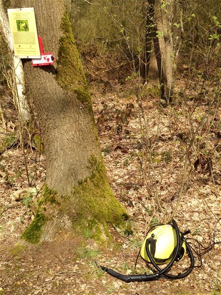 Om de natuur te kuisen??