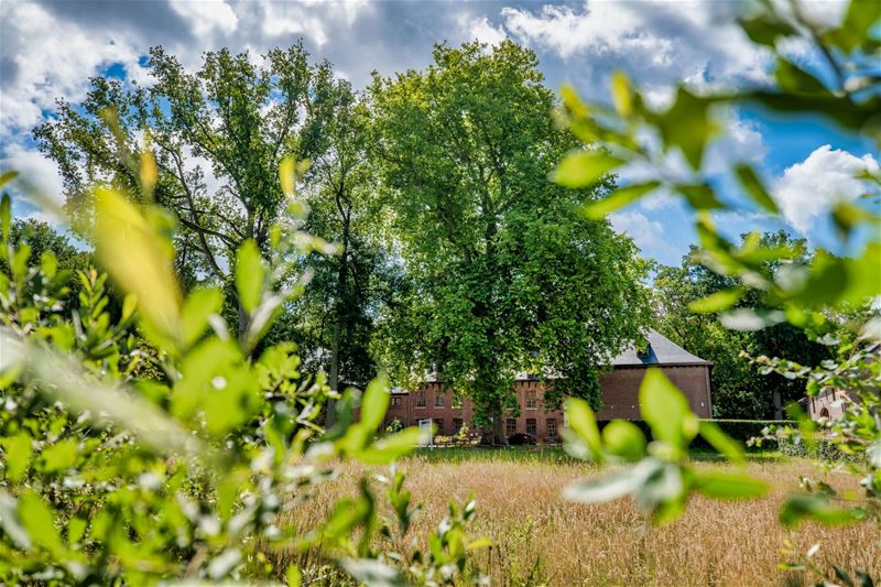 OMD: Wandelen en fietsen langs markante bomen