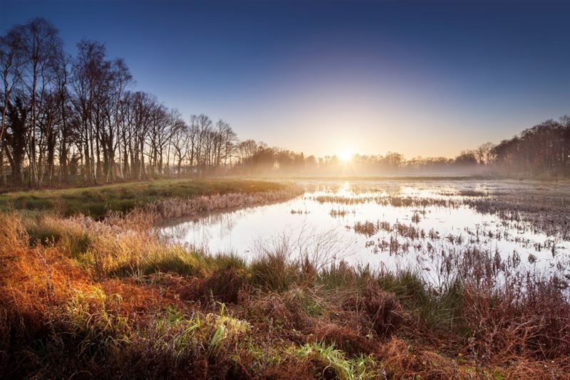 Onderzoek naar onthaalpunten De Wijers gestart