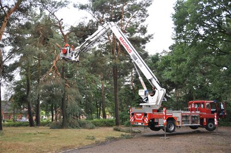 Ook bomen aan het kerkhof afgeknakt