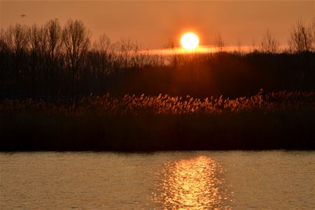 Ook de zon maakte er een speciale dag van