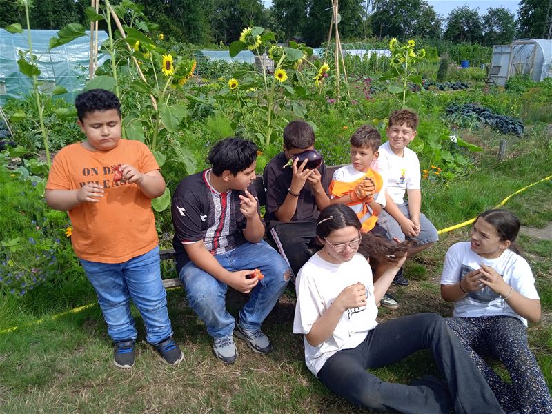 Ook het derde zomerkamp in Het Berenhuis zit erop