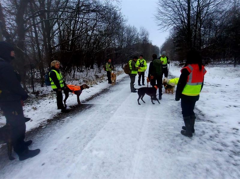 Ook Limburgs Hondenteam bij zoekactie in Mol